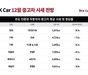 케이카 “중고 전기차 가격, 이달 최대 8% 하락할 것”