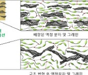 KAIST, 인간 근육보다 17배 강한 인공근육 개발