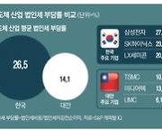 세계 각국서 러브콜 보내는 'K반도체'… 한국에서만 찬밥 신세