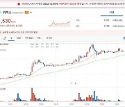 가처분 결과 이틀 앞둔 '위믹스' 25% 급등...단타 매매 극성