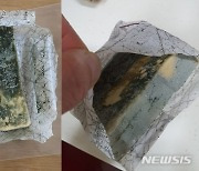 [단독]치즈야 곰팡이야…홈플러스 판매 치즈 '곰팡이 범벅'