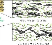 KAIST, 인간 근육과 유사하면서 17배 강한 인공 근육 개발