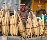 INDIA KASHMIR LOTUS STEM AGRICULTURE