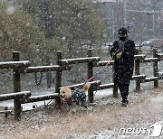 눈이 반가운 반려견