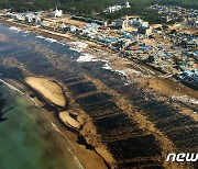 '태안 기름유출' 15주년…"자원봉사자 123만명 절망을 희망으로"