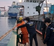 밤바다 지키던 해병대원들, 해상 불법투기·미신고 보트 운항 적발