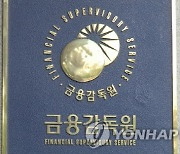 금감원, "페이코 가장한 악성앱 유포 주의 요망"