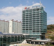 포항시, 호미곶한민족해맞이축전 공식행사 취소