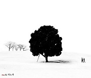 [포토친구] 올림픽공원의 나홀로 나무