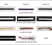 눅눅해지지 않고 토양·해양서 100% 썩는 종이 빨대 개발