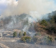 해남 야산서 불…산림 당국 진화 중