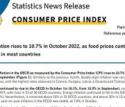 OECD 10월 CPI, 10.7% 올라 9월 10.5%보다 증가폭 소폭 늘어