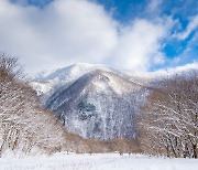 '울릉도 눈 축제' 내년 2월 나리분지서 열린다