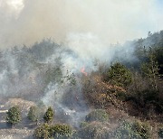 해남 계곡면 야산서 불… 산림 당국 진화 중