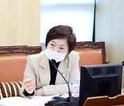 신동원 서울시의원, 모아타운 관련 예산 증액 촉구