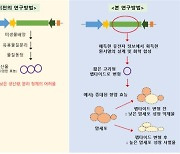 암세포 생장억제 효과큰 펩타이드 5종개발