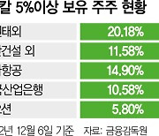 하림그룹 해운 계열사 팬오션, 한진칼 지분 5.8% 취득···“단순 투자 목적”