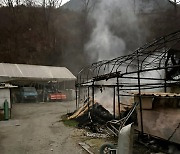 충주 개 사육장서 화재…식용견 300여 마리 폐사