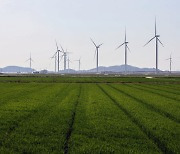 한국은 목표 줄였는데…IEA “재생에너지, 2025년 세계 최대 발전원”