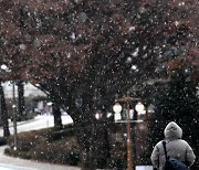 ‘대설’ 영서남부 1㎝ 눈…동해안·산지 ‘화재 주의’