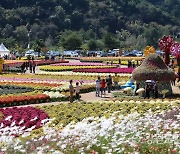 올해 첫 개최해 '인기몰이'한 인제가을꽃축제 지역경제효과 79억원