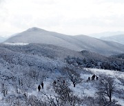 산, 하늘, 바다 그리고 삶의 여유…‘대관령국가숲길’, 균형발전사업 우수사례 선정