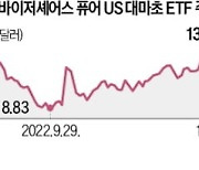 규제완화 기대감…대마초株 내달린다