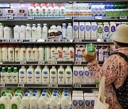 ‘우유 1위’ 서울우유 부분 파업… 연말 ‘우유대란’ 우려