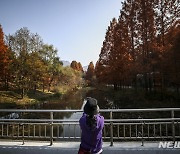 따뜻했던 충북 가을…11월 평균 최고기온 15.2도 '역대 1위'