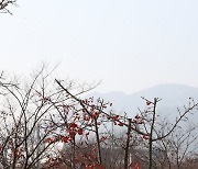 [내일 날씨] 전국에 구름 많아…서울 아침 최저 -1도