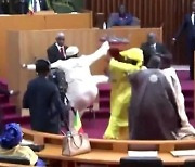 세네갈 의회서 폭행사건 발생...임신한 의원, 복부맞고 기절