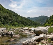 전 군수 흔적 지우기?… 울진 왕피천·불영계곡 국립공원화 중단