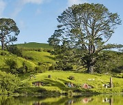 “골룸보다 마이룸”…영화 ‘반지의 제왕’ 촬영지 뉴질랜드 ‘호비튼’에서 숙박