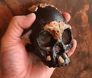체중 25㎏ 감량 끝에 찾은 초기 인류  호모 날레디 불 사용 증거