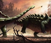 초식공룡 '안킬로사우루스' 동족 간 싸움에도 꼬리 끝 망치 동원