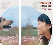 '캐나다 체크인' 이효리·강아지의 특별한 시선…공식 포스터 공개