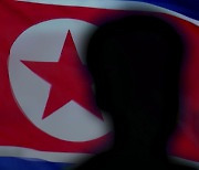 '모델사진으로 위장 취업?'‥신분 속이는 북한 IT인력 경보