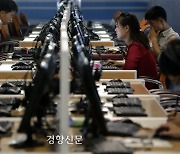 “북한 IT인력 고용 유의”…정부기관 합동주의보 발표