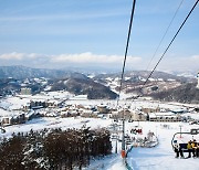 KH그룹 알펜시아 리조트, 스키 시즌 맞아 예약률 '급증'