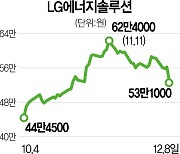 테슬라 리스크에 급락 LG엔솔 "추세적 성장" 긍정 전망은 유지