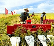 '식량난' 北, 농장법·양정법 개정…곡물 생산·유통 통제 강화
