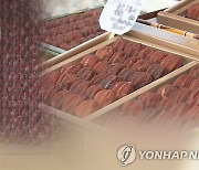 '말랑 쫄깃한 식감' 제8회 완주곶감축제 16∼18일 개최