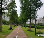 "도시숲, 탄소흡수원 인정"…개정안 국회 본회의 통과