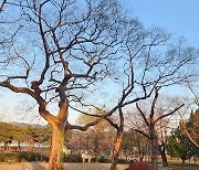 12월엔 겨울 나목들 사이로 예술작품 만나러 '광양 유당공원'산책!