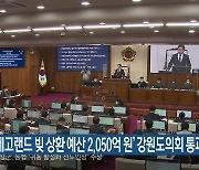 ‘레고랜드 빚 상환 예산 2,050억 원’ 강원도의회 통과