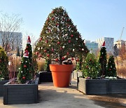 서울식물원에 찾아온 크리스마스...10일부터 ‘겨울정원’ 오픈