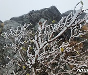 [오늘의 날씨] 대전·충남(10일, 토)…최저 -5도, 도로 얼어 미끄럼주의