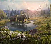 [사이언스카페] 200만년 전 그린란드에는 코끼리가 살았다