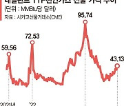 양초 판매 늘어난 독일, 전기차 세우는 스위스... 최악의 겨울 덮친 유럽 [글로벌 리포트]