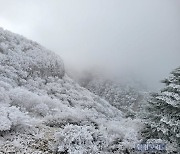 HK영상｜'순백의 장관'…상고대 활짝 핀 한라산 설경